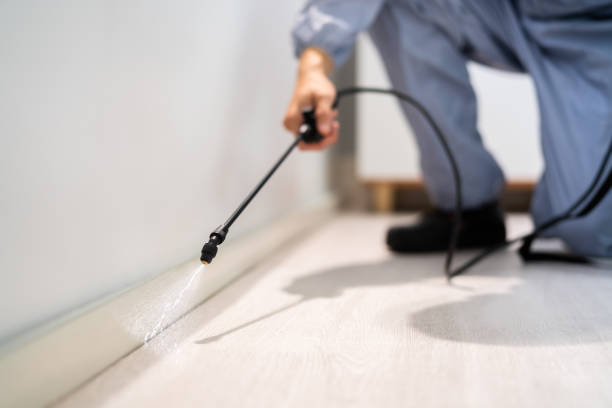 Licensed Cockroach Control service in Lubbock, TX - Nex Pest Control