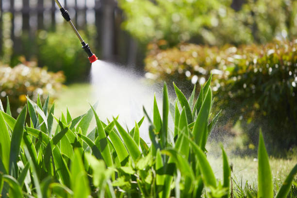24/7 Emergency Cockroach Control experts in Lubbock, TX