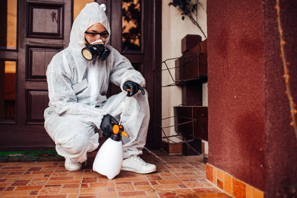 Reliable Cockroach Control contractor in Lubbock, TX by Nex Pest Control